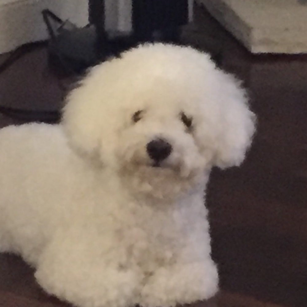 Meet your Posher, Zari